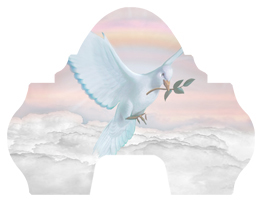 DARAY-L-116-D-PK Dove Clouds Pink